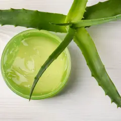 Żel aloesowy w zielonym słoiczku, obok świeżych liści aloesu. Idealny aloes na oparzenia i podrażnienia skóry.