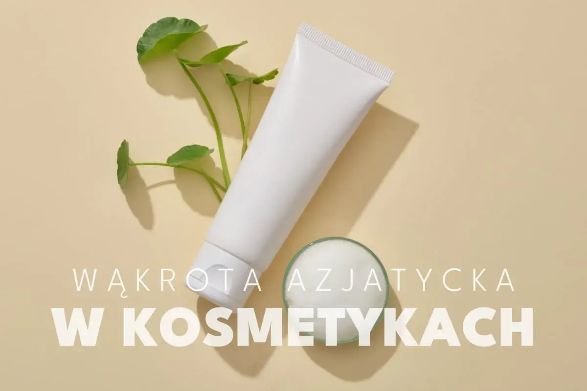 Biała tubka kosmetyku i gałązka z listkami, obok małe naczynie z pianką. Wąkrota azjatycka w kosmetykach.
