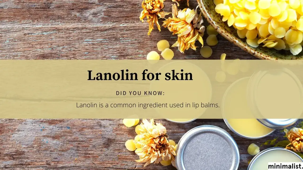 Lanolin co to? Składniki do balsamów do ust i pielęgnacji skóry, w tym wosk i suszone kwiaty.